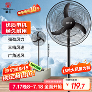 華生（Wahson）電風扇家用落地扇交流定頻電扇立式工業(yè)扇18吋牛角扇低噪大風量宿舍辦公車間商用強力風扇FS-D1806