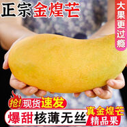 金煌芒【碩果吉客】金煌芒果3斤起單果250g起甜心青黃皮水仙芒果 凈重3斤大果[單果250g起] 青皮和黃皮隨機發(fā)貨
