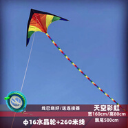 何佳功2025新款天空彩虹風(fēng)箏初學(xué)者兒童初學(xué)者微風(fēng)易飛入門保飛線 天空彩虹+φ16水晶輪260米線線帶