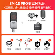 得勝麥克風(fēng)直播設備全套聲卡唱歌專(zhuān)用有聲書(shū)錄音家用k歌話(huà)筒 標配 限時(shí)特惠:SM18麥克風(fēng)+得勝MX1聲 得勝SM18PRO標配+