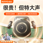 金運【爆款熱銷70W+丨特級教師推薦】小蜜蜂擴音器教師專用無線領(lǐng)夾麥克風(fēng)教學(xué)講課導(dǎo)游器防嘯叫 【磁吸充電丨雙麥】輕奢黑