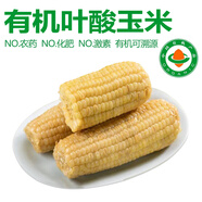 【有機】玉米 甜糯高葉酸玉米 東北非轉基因玉米棒 孕婦蔬菜禮盒 【有機葉酸玉米】 240g*10根