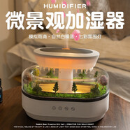 淺檬雨滴加濕器家用靜音臥室桌面氛圍燈小夜燈擺件宿舍情人節(jié)生日禮物 微景觀雨滴香薰機
