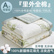A類母嬰級里外全棉新疆棉花空調(diào)被純棉夏涼被可機洗水洗夏被 清風絮語【A類母嬰級 %100新疆棉 220x240cm夏被四件套【床單+枕套