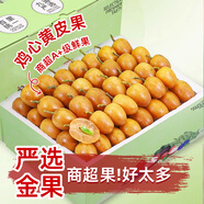 優(yōu)味集雞心黃皮果【順豐JD】廣東新鮮黃彈子酸甜孕婦水果當季整箱帶枝 250g（鮮采帶枝） 商超級金果