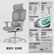 Everseat Flex6Pro 人體工學(xué)椅辦公椅午休可躺椅獨立腰靠頭枕大坐深電腦椅 晨霧灰+尼龍腳+3D扶手