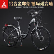 鳳凰（Phoenix）長途騎旅行自行車全軸承變速鎖死減震前叉碟剎城 灰色/彎梁/蝴蝶把 26英寸(身高155-185左右)或者700