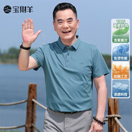 寶財羊涼感防曬短袖t恤男爸爸夏季休閑翻領(lǐng)polo衫半袖中老年男裝上衣 淺綠色 S (165)