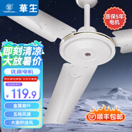 華生（Wahson） 電風(fēng)扇/吊扇/吊頂扇/客廳廚房餐廳風(fēng)扇工業(yè)風(fēng)扇商務(wù)企業(yè)推薦大風(fēng)量風(fēng)扇 80W吊扇/吊頂扇56吋FC-30P（純銅電機(jī)）