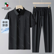 西域駱駝（VANCAMEL）短袖套裝男夏季冰絲涼感休閑中老年P(guān)OLO衫套裝 黑色 XL