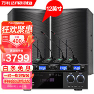 萬利達(dá)（Malata）12英寸一拖二會(huì)議室音箱套裝組合家庭KTV背景音樂培訓(xùn)會(huì)議專用設(shè)備系統(tǒng)藍(lán)牙功放壁掛響