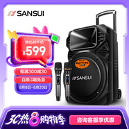 山水（SANSUI） A12-66廣場(chǎng)舞音響戶(hù)外K歌重低音藍牙音響便攜式移動(dòng)舞臺拉桿音箱大功率擴音器 旗艦版（12寸重低音+雙麥）