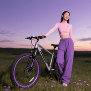 鳳凰山地車(chē)自行車(chē)成年人男士女士學(xué)生變速碟剎減震全軸承山地自行車(chē) 月光銀/碳鋼架/鋁合金雙層輻條輪 26英寸（身高160-180左右） 30速【藍圖A7】