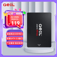 GEIL金邦 250G SSD固態(tài)硬盤(pán) SATA3.0接口 臺式機筆記本通用 高速500MB/S A3系列