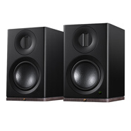惠威（HiVi）Dazzle Prime有源HiFi音箱 家用書(shū)架箱高保真hifi家庭影院電視電腦音響 黑色