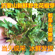 桃西村2025現(xiàn)摘花椒嫩芽新鮮花椒芽花椒葉嫩芽新鮮正宗野菜香麻當(dāng)季蔬菜 100g