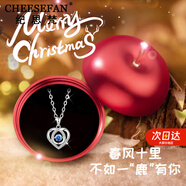 紀(jì)思梵（CHEESEFAN）輕奢珠寶首飾海洋之心項(xiàng)鏈女吊墜情人節(jié)表白七夕禮物送女友老婆 圣誕節(jié)蘋果款-永恒之心項(xiàng)鏈