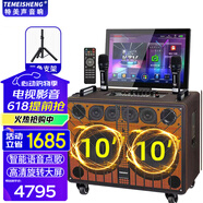 TEMEISHENG 特美聲TMS10-28戶外移動(dòng)視頻音響一體機(jī)KTV唱歌視頻點(diǎn)歌廣場(chǎng)舞音箱K歌唱歌美聲話筒移動(dòng)音箱 TMS10-28 21吋雙10吋1T聲卡+支架