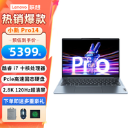 聯(lián)想（Lenovo）小新pro14 學(xué)生辦公創(chuàng  )作設計高性能2.8K輕薄筆記本電腦 標配i7-13620H/16G/1T 人臉識別