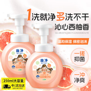 獅王（Lion）趣凈泡沫抑菌洗手液沁心西柚香250ml抑菌潤護(hù)家庭99.9%抑菌進(jìn)口