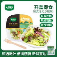 一號農(nóng)場活力蔬菜沙拉碗6種蔬菜開盒即食輕食健身代餐160g*3碗源頭直發(fā)