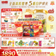 海普諾凱1897【新國標】荷致嬰兒配方奶粉1段860克*6罐（0-6月齡）