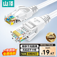 山澤(SAMZHE)超五類網(wǎng)線 CAT5e類高速千兆網(wǎng)線 10米 工程/寬帶電腦家用連接跳線 成品網(wǎng)線 貝吉色ZW-10
