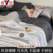雅鹿涼感冰絲夏涼被四件套單人雙人可機(jī)洗夏被空調(diào)被夏季薄款被子被芯 沐夏山灰+高級(jí)灰 【絲滑裸睡】 單夏被150x200cm 【涼感冰絲】