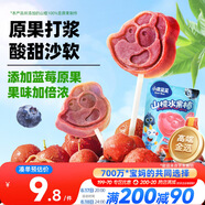 小鹿藍藍山楂果然棒藍莓味106g寶寶零食山楂果脯蜜餞鮮果制作 