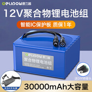 德力普（Delipow）12v鋰電池大容量鋰離子聚合物鋰電池組帶顯示屏移動(dòng)電源太陽能燈音響監(jiān)控設(shè)備24V可充電方形電池 12V 30000毫安【送3A充電器】