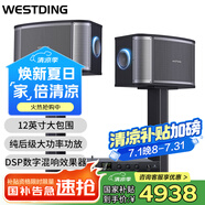 威斯?。╓ESTDING）【國家補(bǔ)貼】天籟家庭ktv音響套裝家庭影院客廳唱歌全套設(shè)備家用卡拉ok藍(lán)牙音箱點(diǎn)歌機(jī)功放一體機(jī) 天籟12號豪華版+MA-300+F4