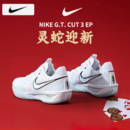 耐克（NIKE）籃球鞋男鞋 25春季新款AIR氣墊透氣運動鞋戶外跑步鞋AJ籃球鞋子男 【高熱新品】全掌ZoomX泡綿/曬圖退10 40.5