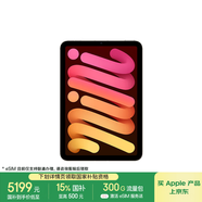 Apple/蘋果 iPad mini (A17 Pro) 8.3英寸 平板電腦(512G eSIM版/mini7/MYHJ3CH/A)星光色