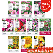 壽禾 花種子苗太陽花格桑花向日葵鳳仙花四季花海組合 10種花種子套餐
