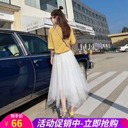 網(wǎng)紗半身裙女春夏秋冬季中長款學生大擺紗紗裙新款百褶中長裙仙女裙子 杏色 均碼