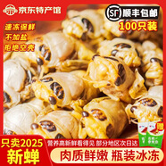 匯爾康2025新鮮知了猴金蟬爬叉100只生鮮知了龜唐僧肉速凍 白蟬100只