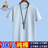 稻草人純棉短袖T恤男夏季新款純色男士寬松上衣圓領(lǐng)半袖青年打底衫男裝 D01天藍色 L （建議105-115斤）