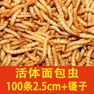 KERRY面包蟲活蟲黃粉蟲活體蟲子蝎子倉(cāng)鼠角蛙鸚鵡八哥畫眉小鳥食飼料蟲 100條2.5cm試吃裝