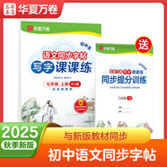 【2025秋新】華夏萬卷 七年級上冊語文同步練字帖初中生寫字課課練初一人教版正楷書法練字本 每日一練天天練田字格生字詞句抄寫本（共2冊）