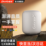 雷登（OHAYO）X2無線藍(lán)牙小音響便攜式迷你小型大音量高音質(zhì)隨身防水音箱自行車騎行低音炮 xb10灰色【帶彩燈】 官方標(biāo)配【當(dāng)/次日達(dá)】