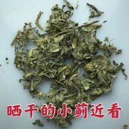 新鮮食用小薊刺兒菜野菜七七菜曬干品野生刺兒菜草野紅花青刺刺菜 干小薊帶根100g