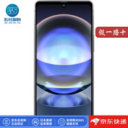 夏普【日本直郵】夏普（SHARP）AQUOS R8 智能5G手機 Android 13系統(tǒng) 日版新款 AQUOS R8【藍色 8+256GB】