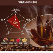 吉意歐(GEO) 掛耳咖啡8g*50袋 濾泡式焙炒阿拉比卡純黑咖粉 經(jīng)典拼配掛耳咖啡(8g*50袋)