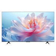 FFALCON雷鳥TCL 55T6L  55英寸 QDMini LED 萬(wàn)象分區(qū) 量子點(diǎn)電視機(jī) 55英寸 標(biāo)配