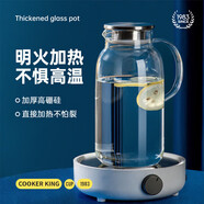 炊大皇 冷水壺大容量夏日解暑冷水壺 耐熱防爆玻璃杯水果茶壺2.5L