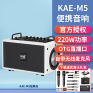 KAEM5樂器彈唱音響吉他電吹管薩克斯戶外k歌路演直播大功率藍(lán)牙音箱 M5純凈白【額定220W】