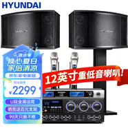 HYUNDAI現(xiàn)代家庭影院ktv音響套裝家用k歌電腦電視客廳卡拉ok全套會(huì)議室卡包店鋪專業(yè)功放音箱設(shè)備 【尊享版】12吋音響套裝