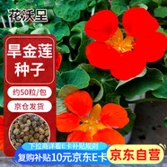 花沃里旱金蓮花種子50粒/包 花卉種子盆栽陽臺種菜土四季草籽庭院田間種