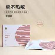 艾十二艾草自發(fā)熱腰部熱敷貼保暖腰貼腰帶女暖宮護(hù)肚子護(hù)腰艾灸貼 酒紅色 2片