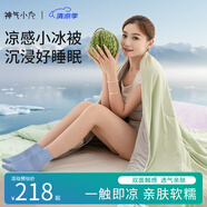 神氣小鹿小冰被夏涼被可水洗薄被芯單雙人空調(diào)被抑菌透氣 小冰被-涼柔體感+A類母嬰/綠 200*230cm